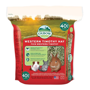 Oxbow Western Timothy Hay for Small Pets